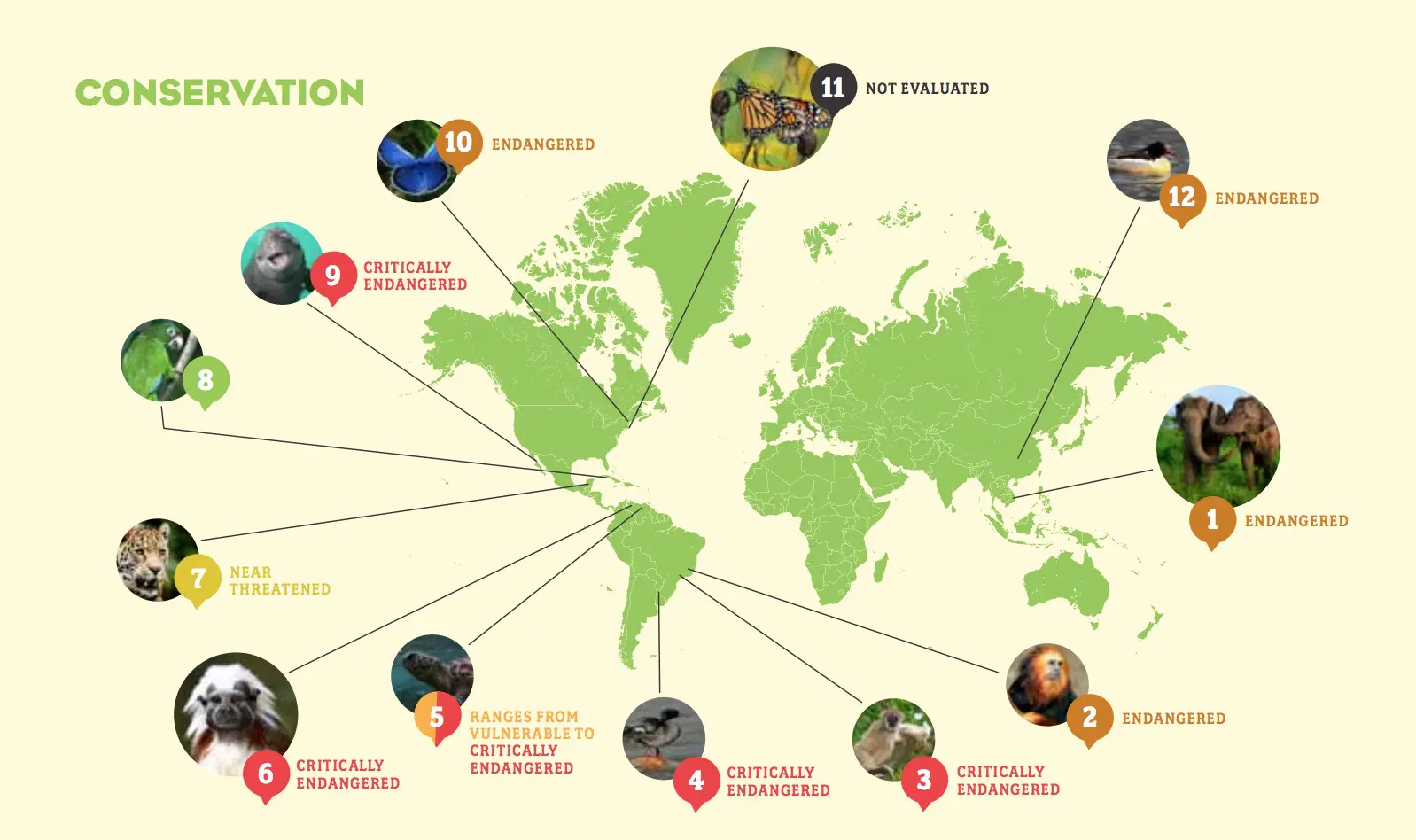 “Saving wildlife is the core of our mission…”