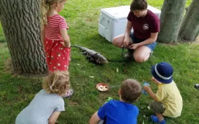 SouthCoast Summer: 5 things you didnât know about Buttonwood Park Zoo