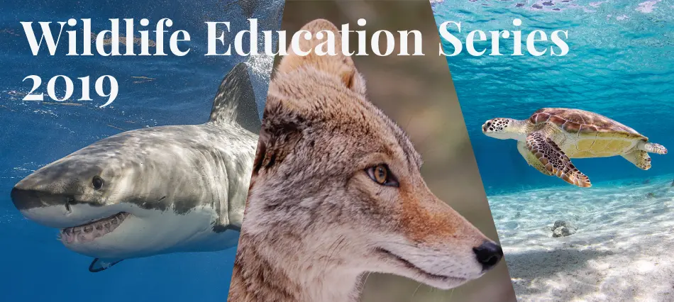 Buttonwood Park Zoo announces lineup for lecture series