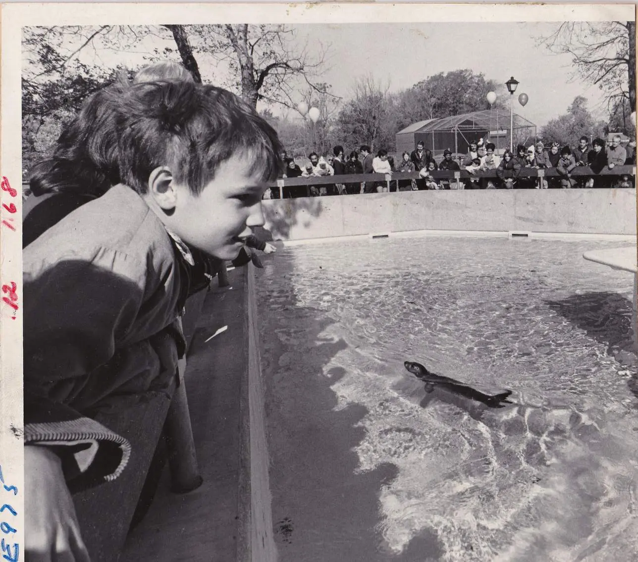 At 125, Buttonwood Park Zoo looks back on a storied history