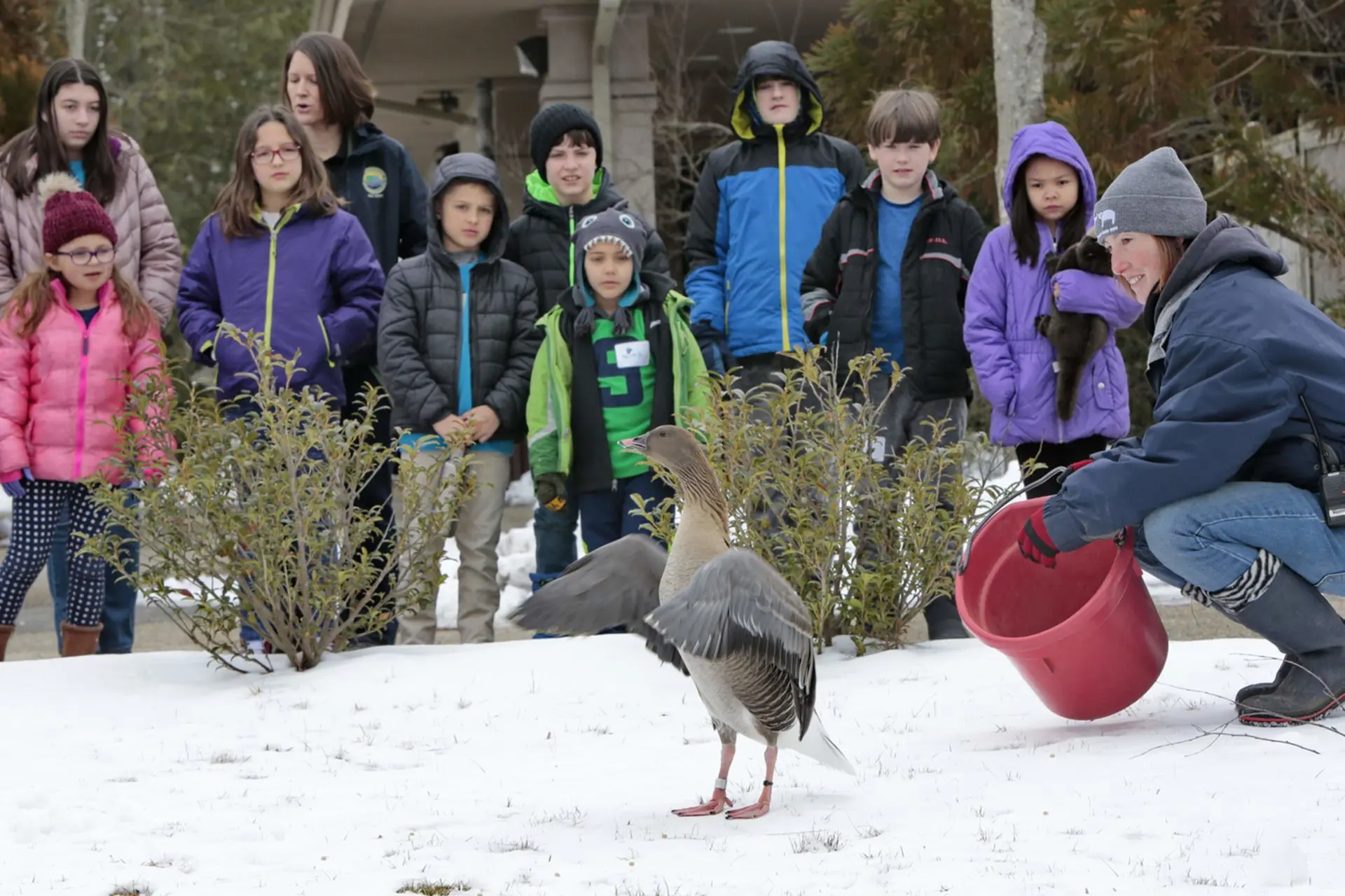 PHOTOS: February vaca with Winter ZooCrew at Buttonwood Park Zoo