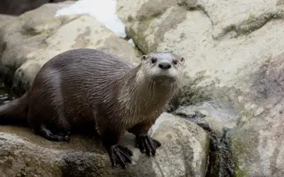 Free Day at BPZOO