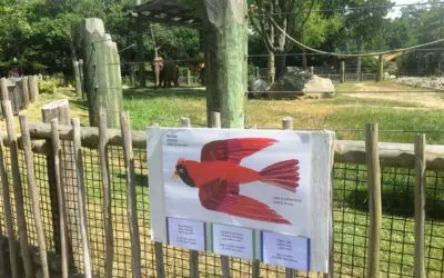 BPZOO now has a StoryWalkÂ®!