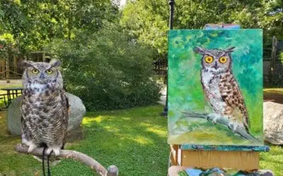Animal Art Night Returns