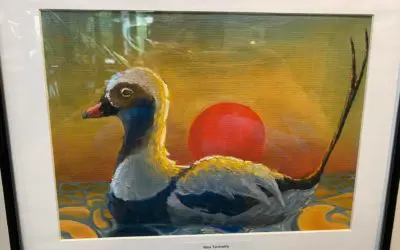 Junior Duck Stamp On Display
