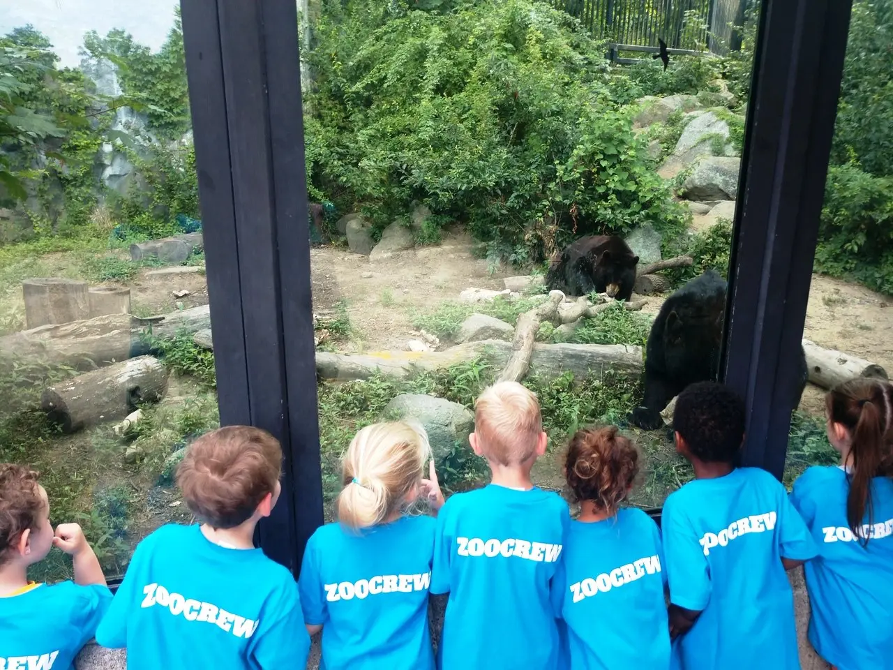 zoocrew kids at bear