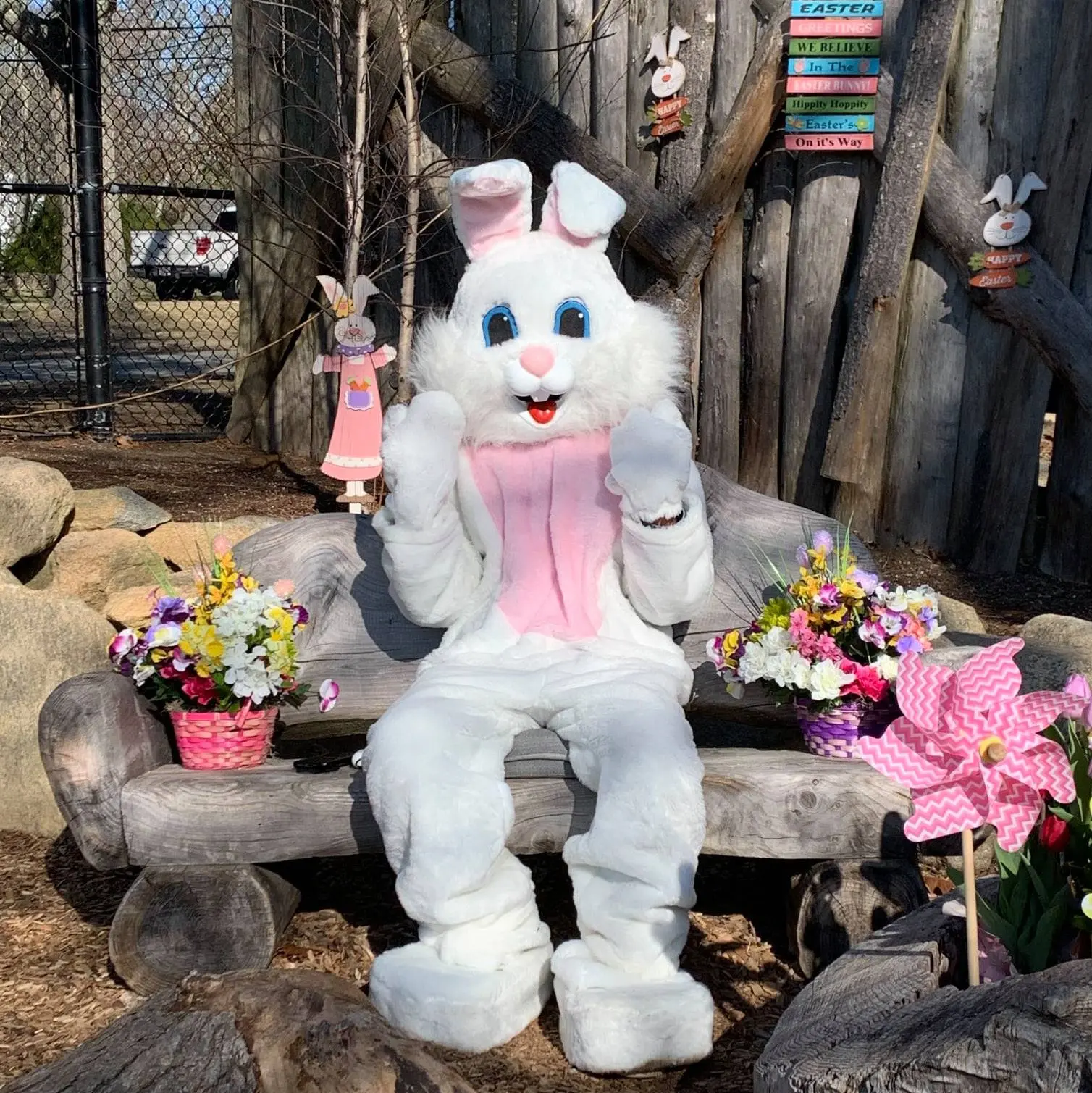 Easter bunny at the zoo square