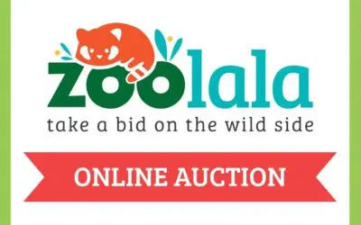 Zoolala Auction