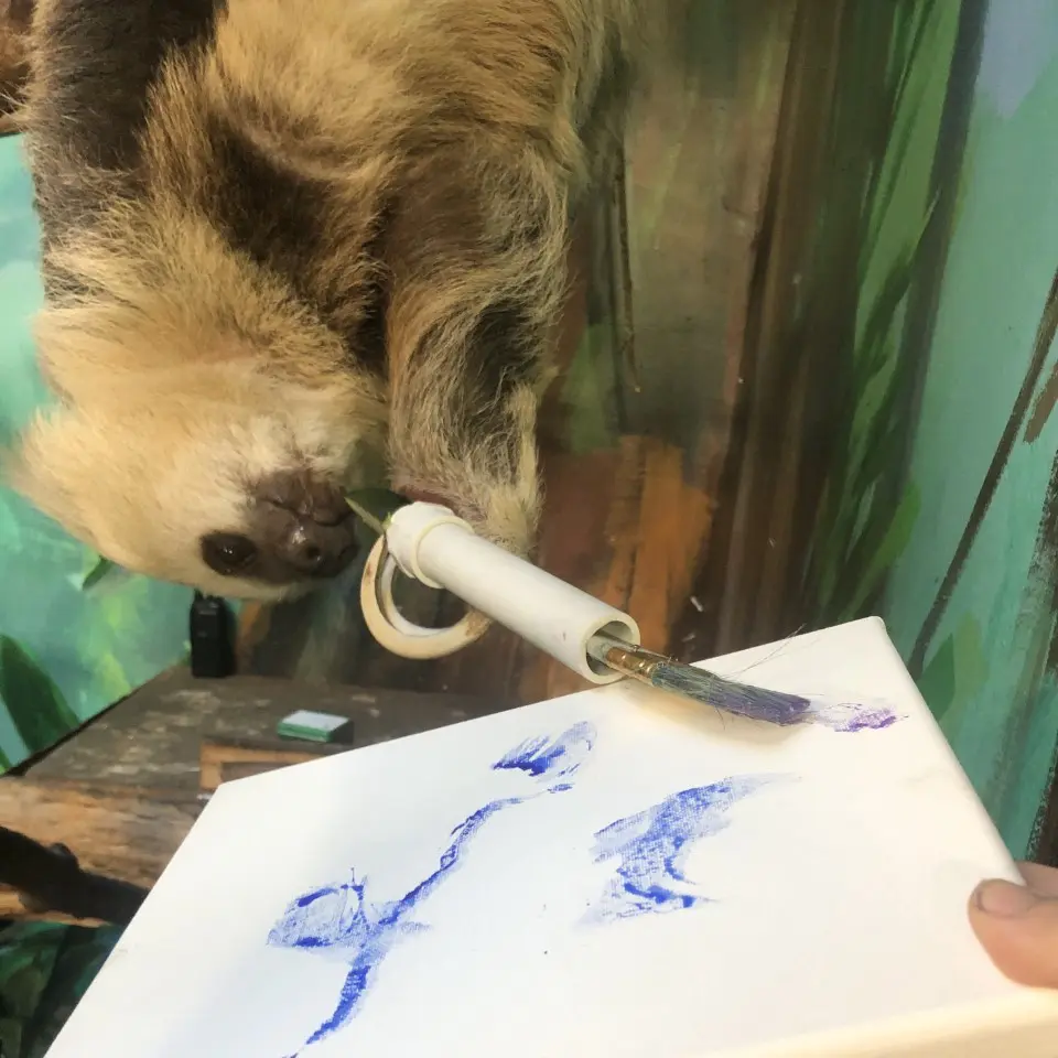 sloth painting