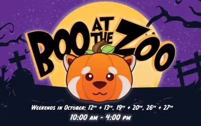 Boo at the Zoo