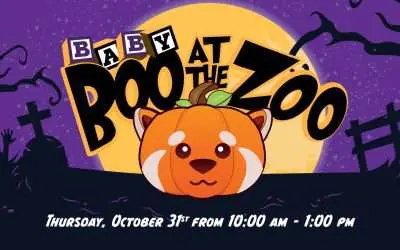 Baby Boo at the Zoo