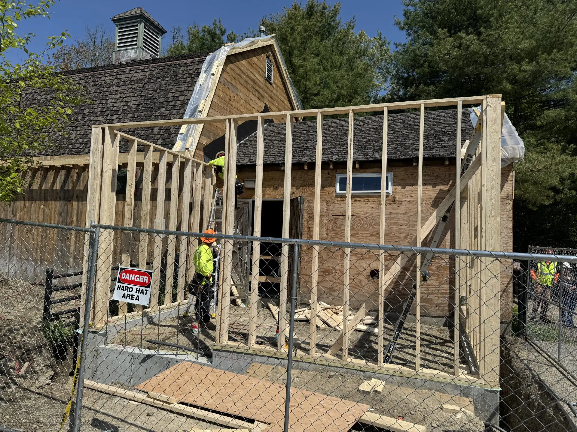 animal ambassador building construction