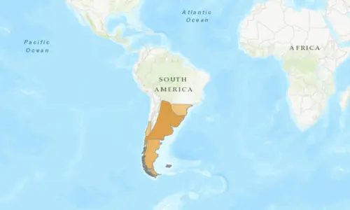 Silver-Teal-map
