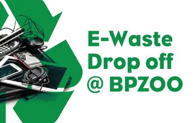 E-Waste Drop Off