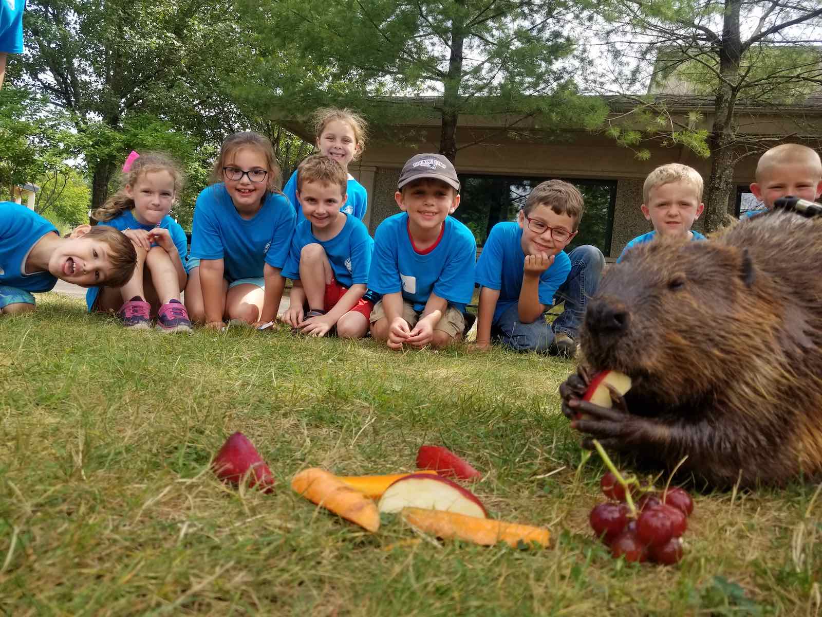 New Bedford, Beaver Kids Education Zoo